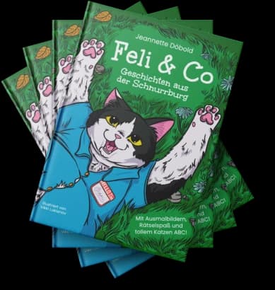 Aufgefächerter Stapel des Buchs „Feli & Co“